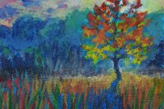 colourful autumn tree