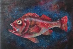 Norway haddock