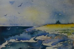 Beach with birds